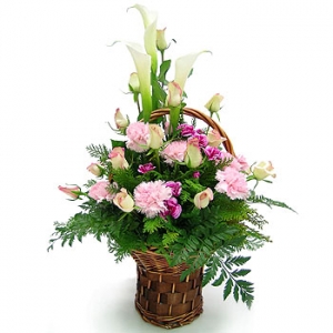 �󼼳��뺸��