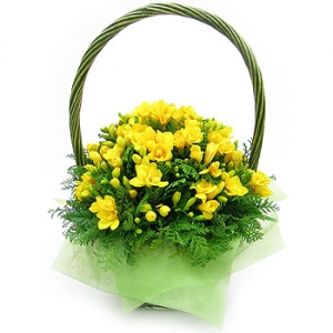 �󼼳��뺸��