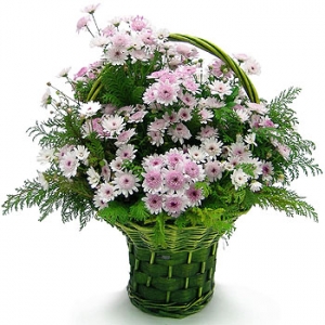 �󼼳��뺸��