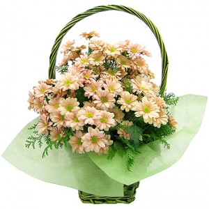 �󼼳��뺸��