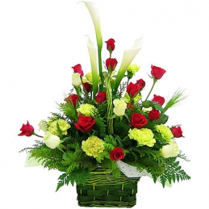 �󼼳��뺸��