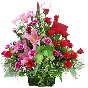 �󼼳��뺸��