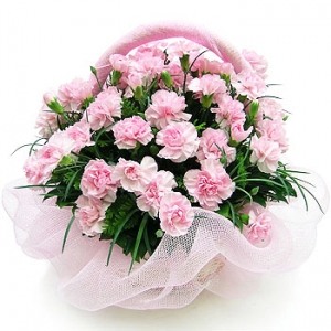 �󼼳��뺸��