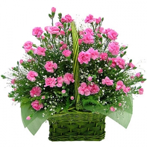 �󼼳��뺸��