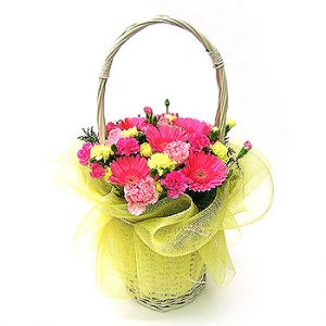 �󼼳��뺸��