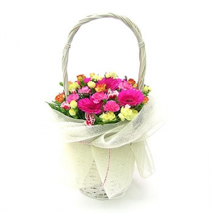 �󼼳��뺸��