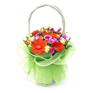 �󼼳��뺸��