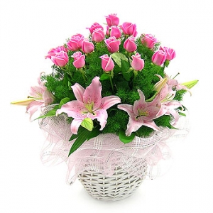 �󼼳��뺸��