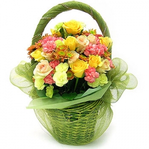 �󼼳��뺸��