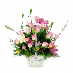 �󼼳��뺸��