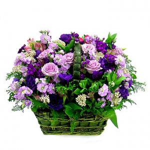 �󼼳��뺸��