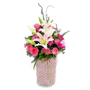 �󼼳��뺸��