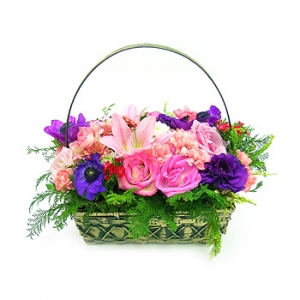 �󼼳��뺸��