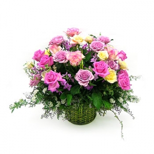 �󼼳��뺸��