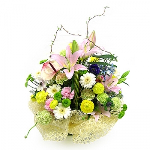 �󼼳��뺸��