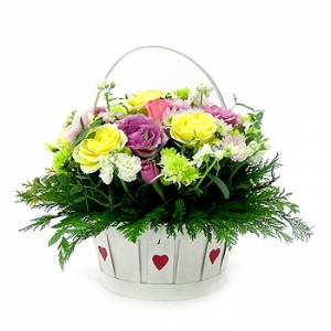 �󼼳��뺸��