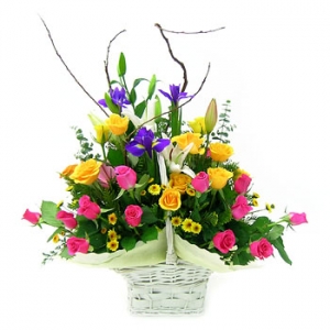 �󼼳��뺸��