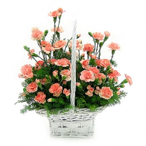 �󼼳��뺸��