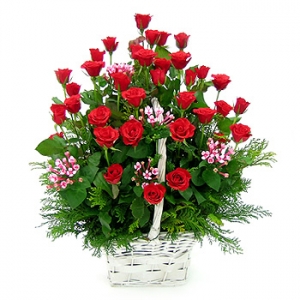 �󼼳��뺸��