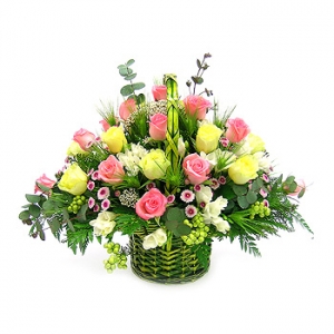 �󼼳��뺸��