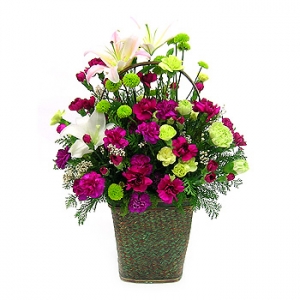 �󼼳��뺸��