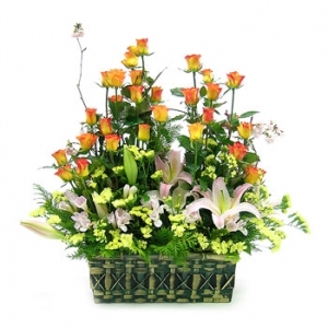 �󼼳��뺸��