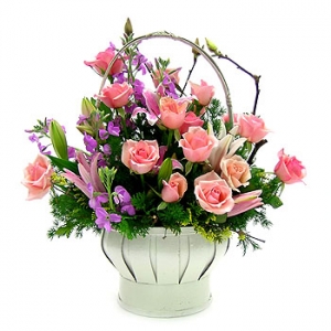 �󼼳��뺸��