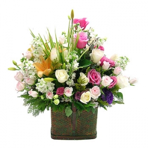 �󼼳��뺸��