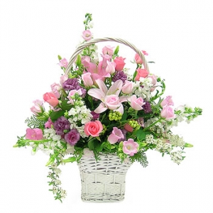 �󼼳��뺸��