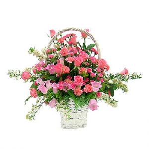 �󼼳��뺸��