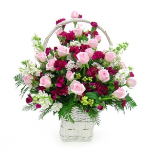 �󼼳��뺸��