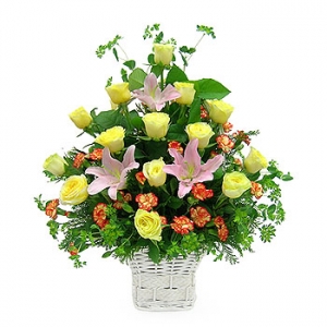 �󼼳��뺸��