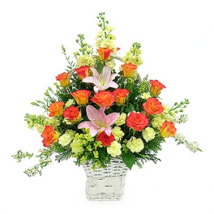 �󼼳��뺸��