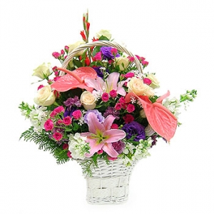 �󼼳��뺸��