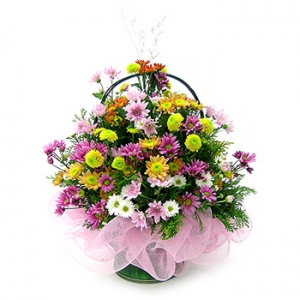 �󼼳��뺸��