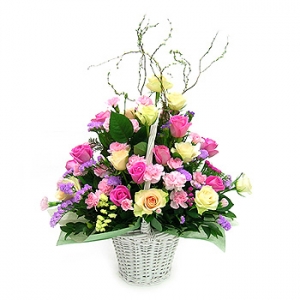 �󼼳��뺸��