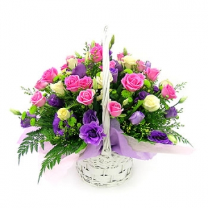 �󼼳��뺸��