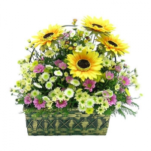 �󼼳��뺸��