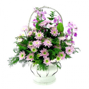 �󼼳��뺸��