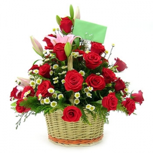 �󼼳��뺸��