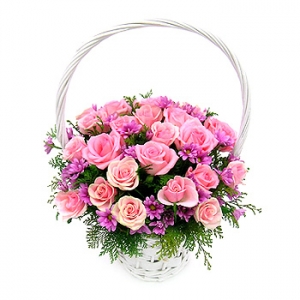 �󼼳��뺸��