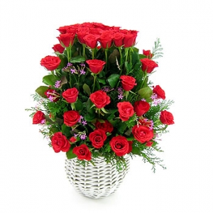 �󼼳��뺸��