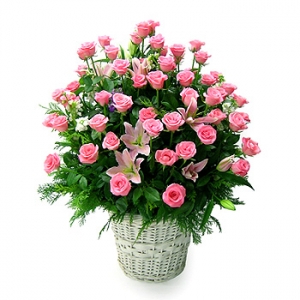 �󼼳��뺸��