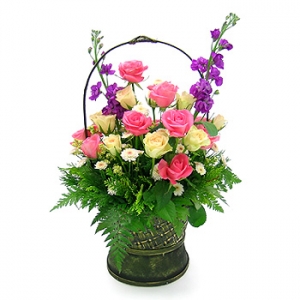 �󼼳��뺸��