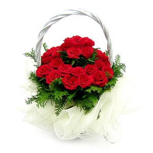 �󼼳��뺸��