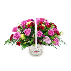 �󼼳��뺸��