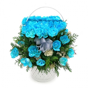 �󼼳��뺸��