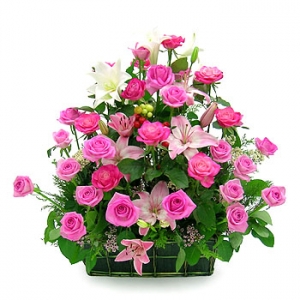 �󼼳��뺸��