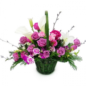 �󼼳��뺸��