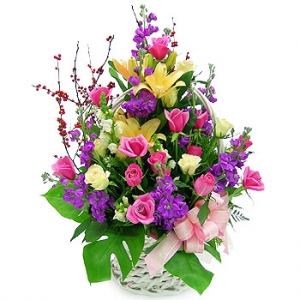 �󼼳��뺸��